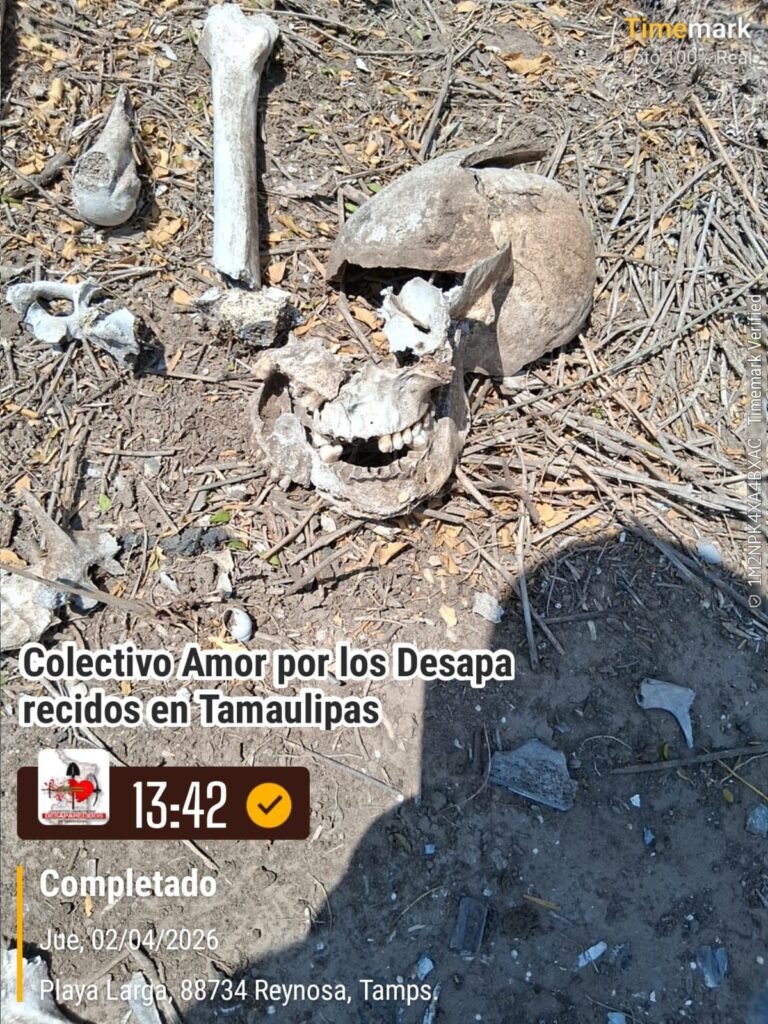 Huesos y más huesos regados por todo Reynosa