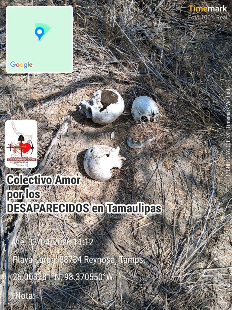 Hallan mega cementerio clandestino