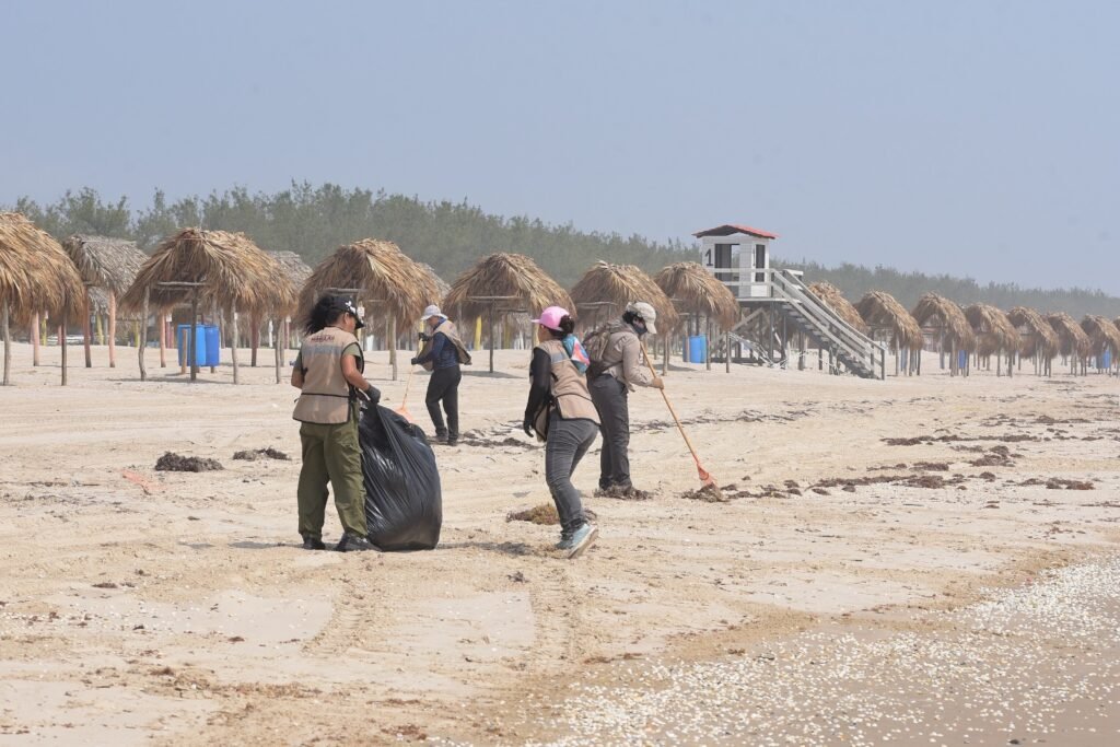 Suma Tamaulipas esfuerzos con la Federación para conservar playas y costas