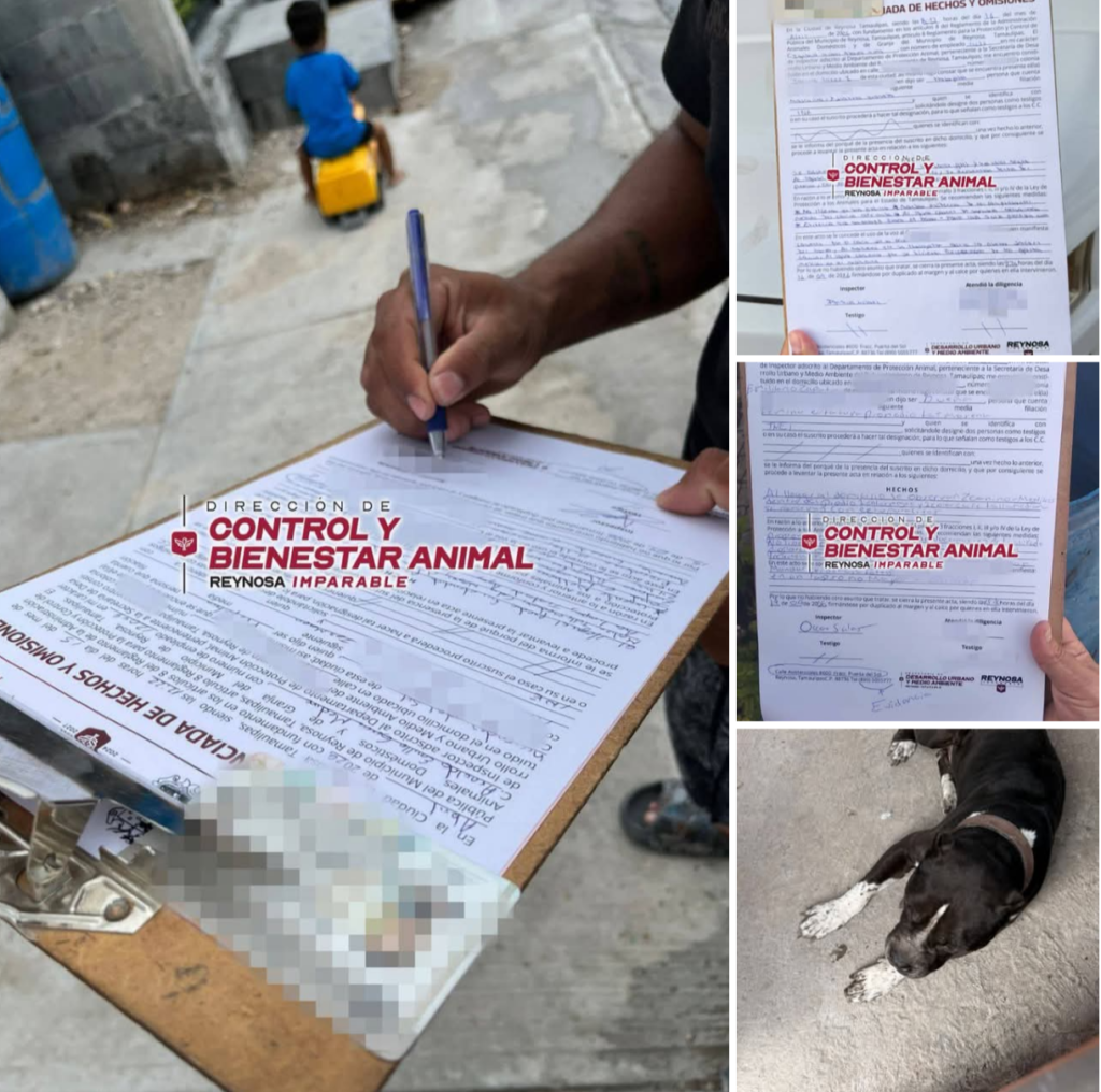 Promueve Carlos Peña Ortiz empatía y cuidado de animales y exhorta a la tenencia responsable