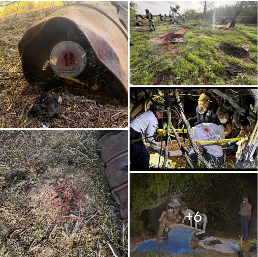 Localizan restos con exposición térmica en quinto día de búsqueda oficial en Matamoros