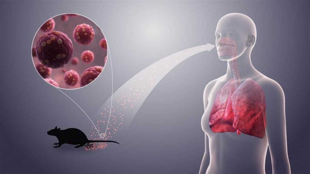 Alerta sanitaria por Hentavirus