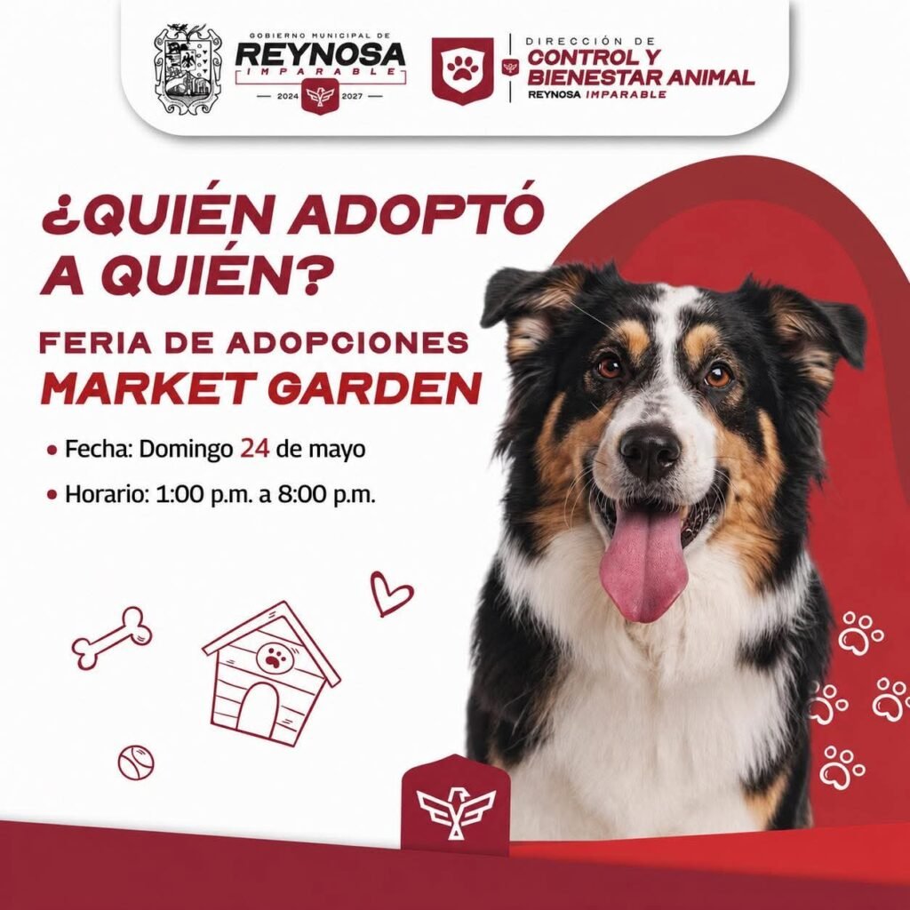 Invita el Presidente Carlos Peña Ortiz a la Feria de Adopciones hoy domingo 24 de mayo