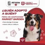 Invita el Presidente Carlos Peña Ortiz a la Feria de Adopciones hoy domingo 24 de mayo