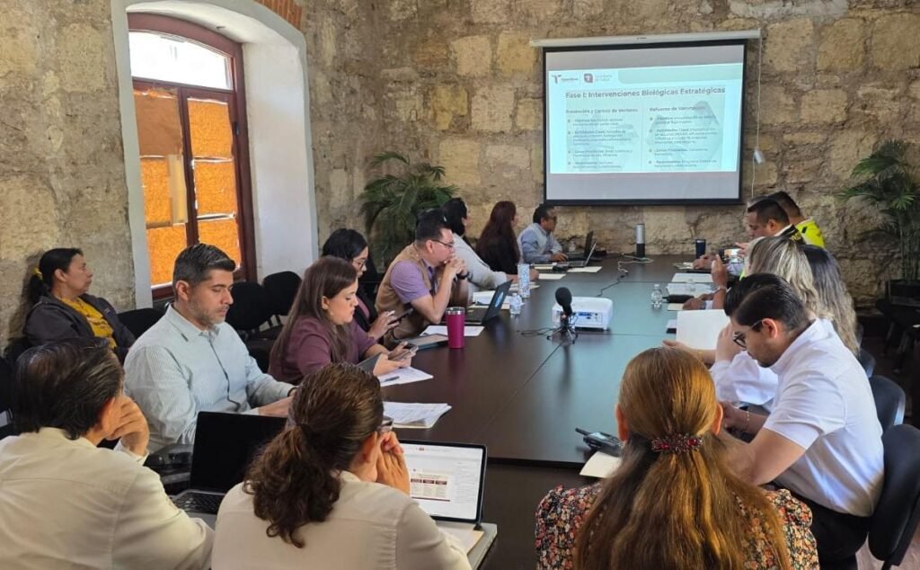 Establece Salud respuesta sanitaria integral en Tamaulipas por Mundial 2026
