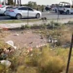 Ataque armado en Reynosa deja dos policías estatales muertos y uno herido