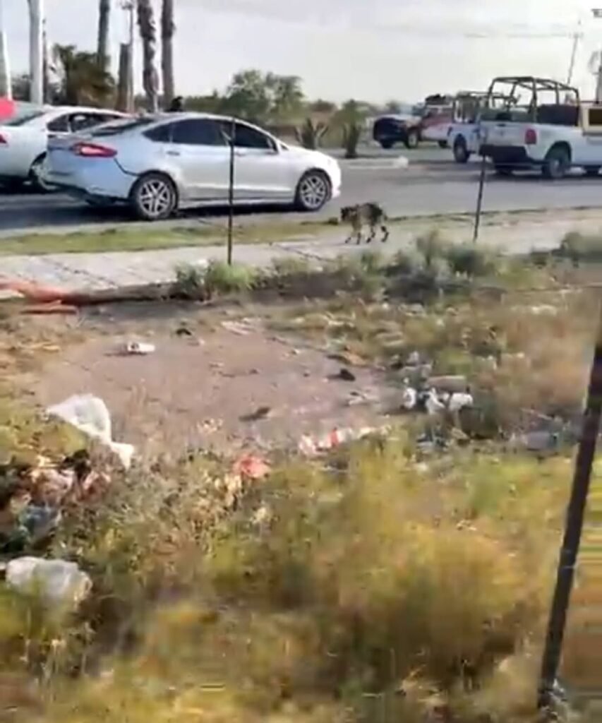 Ataque armado en Reynosa deja dos policías estatales muertos y uno herido