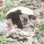Colectivo localizó restos óseos en nueva jornada de búsqueda en Reynosa