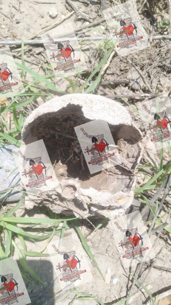 Colectivo localizó restos óseos en nueva jornada de búsqueda en Reynosa