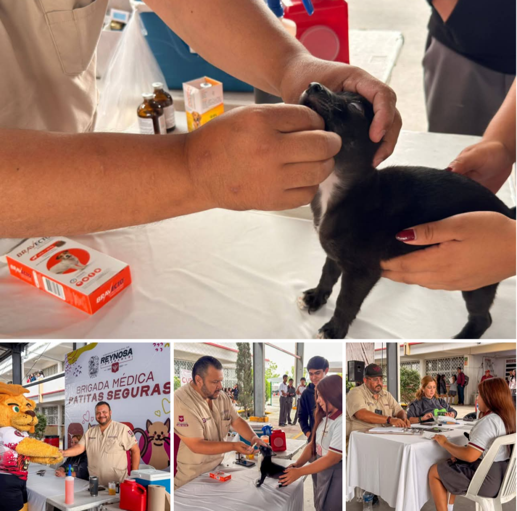 Invita Carlos Peña Ortiz a la Jornada Médica Veterinaria en el COBAT 22 de Villas de Esmeralda