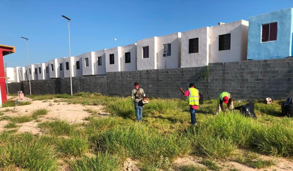 Realiza Gobierno de Carlos Peña Ortiz limpieza en CBTis 302 de Alta Vista
