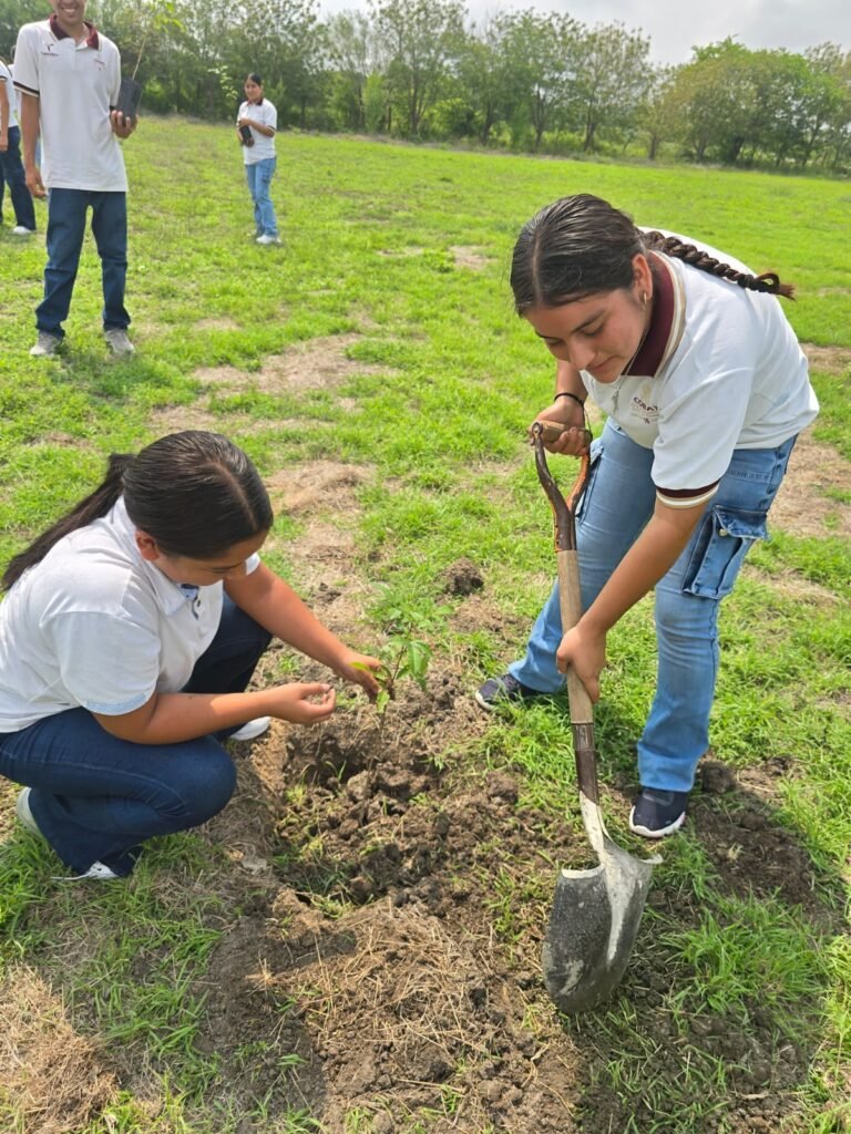 Conmemoran Día Mundial del Medio Ambiente con jornadas de reforestación
