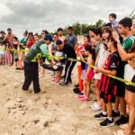 Viven familias la primera liberación pública de tortuga lora en La Pesca