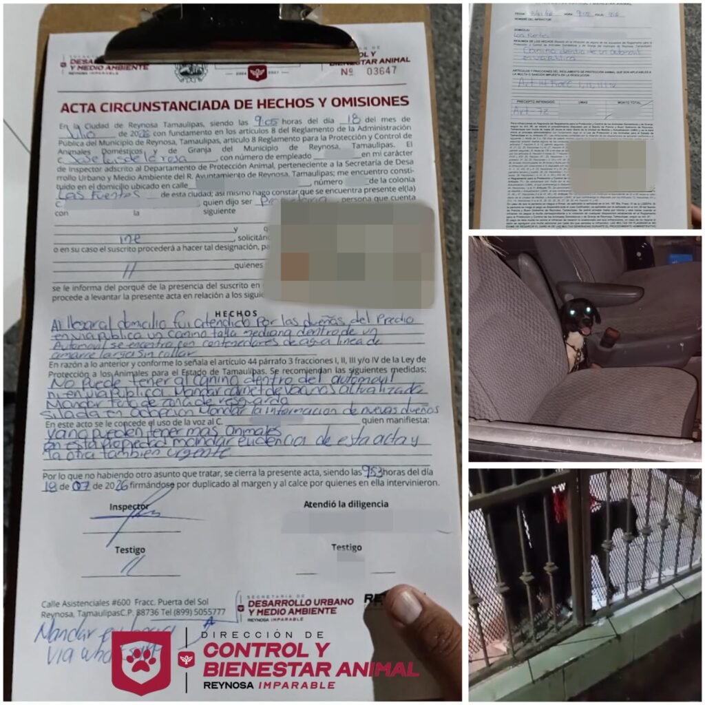 Aplican sanción por maltrato animal en la colonia Las Fuentes
