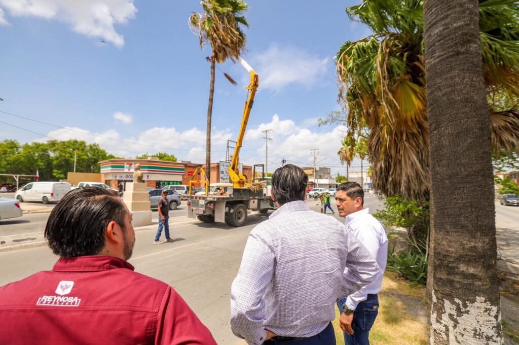 Constató Alcalde Carlos Peña Ortiz limpieza y poda en bulevar del Maestro
