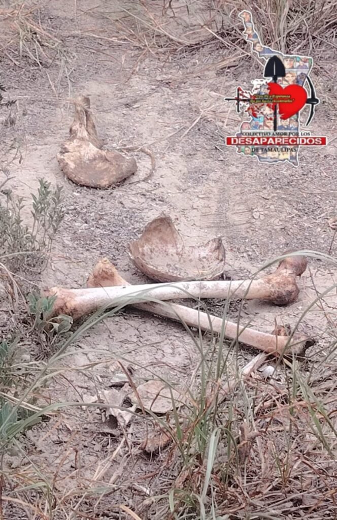 Confirman hallazgo de restos humanos en Miguel Alemán