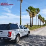 Movilización por reporte de un puma en la brecha La Retama