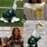 El “Pato Merlín” solo fue un negocio fugaz