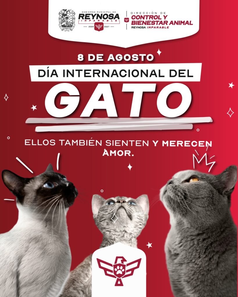 Exhorta Gobierno de Reynosa a no maltratar a los animales