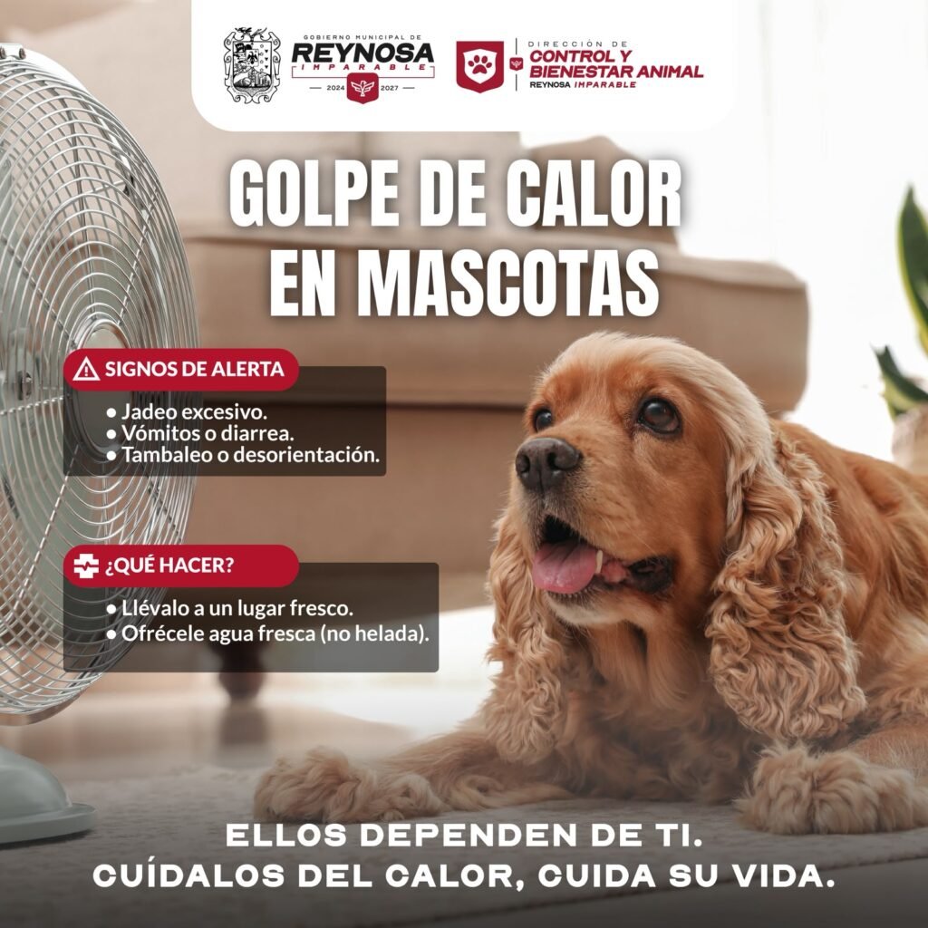 Recomienda Gobierno de Reynosa mayor cuidado de mascotas ante altas temperaturas