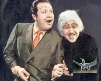 AL VUELO-Hijazo