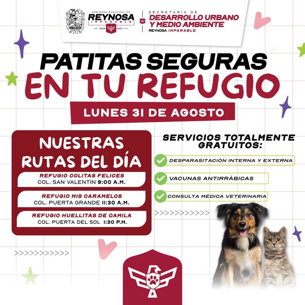 Impulsa Gobierno de Carlos Peña Ortiz atención veterinaria con Patitas Seguras en tu Refugio