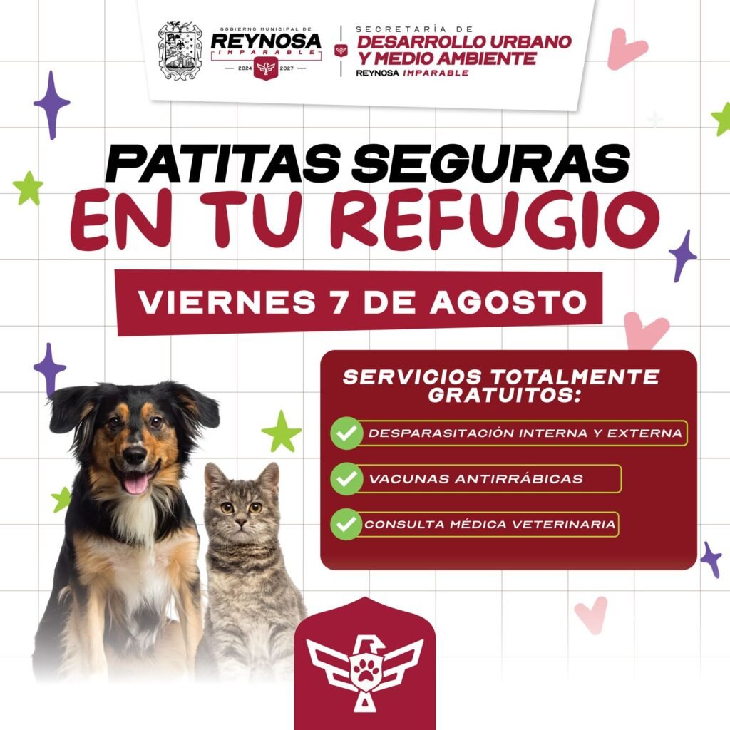Invita Carlos Peña Ortiz a jornada Patitas Seguras en Tu Refugio