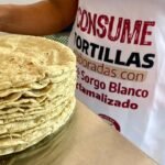 Las tortillas de sorgo son más nutritivas: Negrete