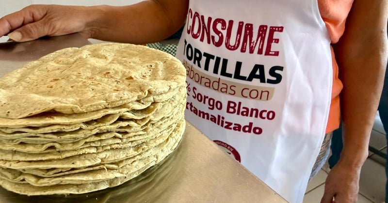 Las tortillas de sorgo son más nutritivas: Negrete
