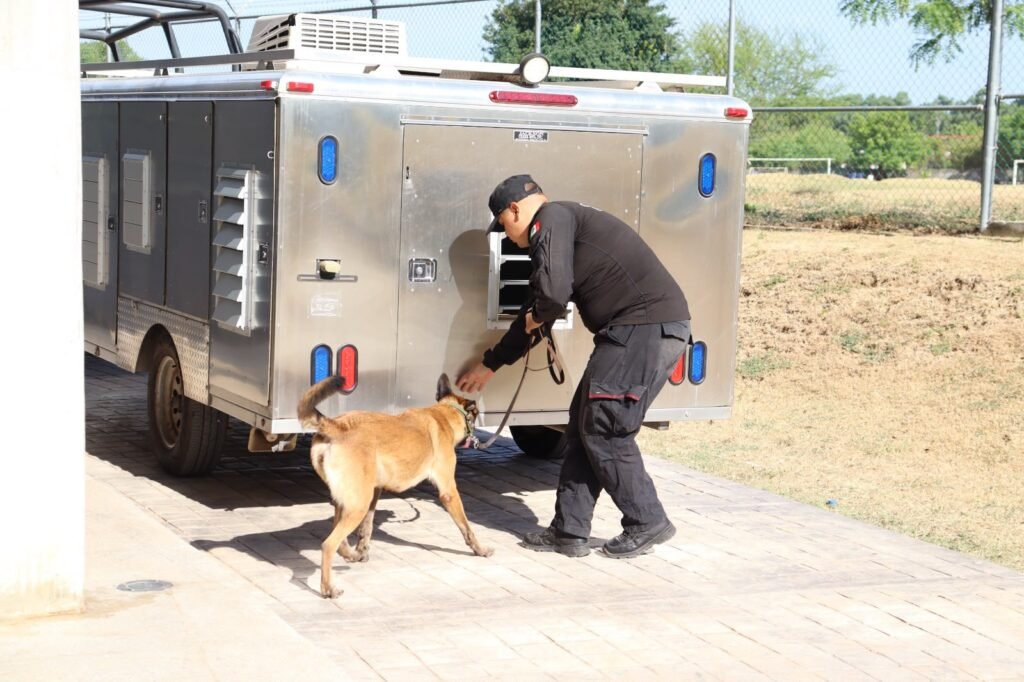 Obtienen binomios K-9 de la Guardia Estatal primeros lugares de su especialidad en certificación canina