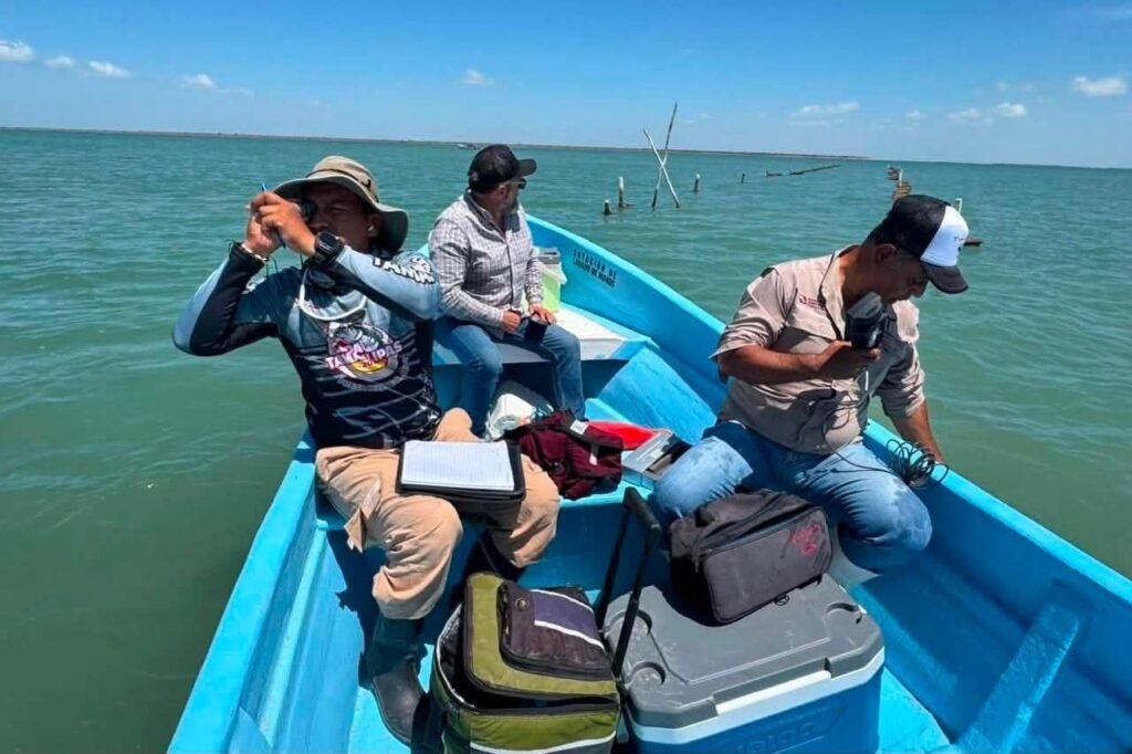 Dan seguimiento técnico al crecimiento de la actividad ostrícola en la Laguna Madre