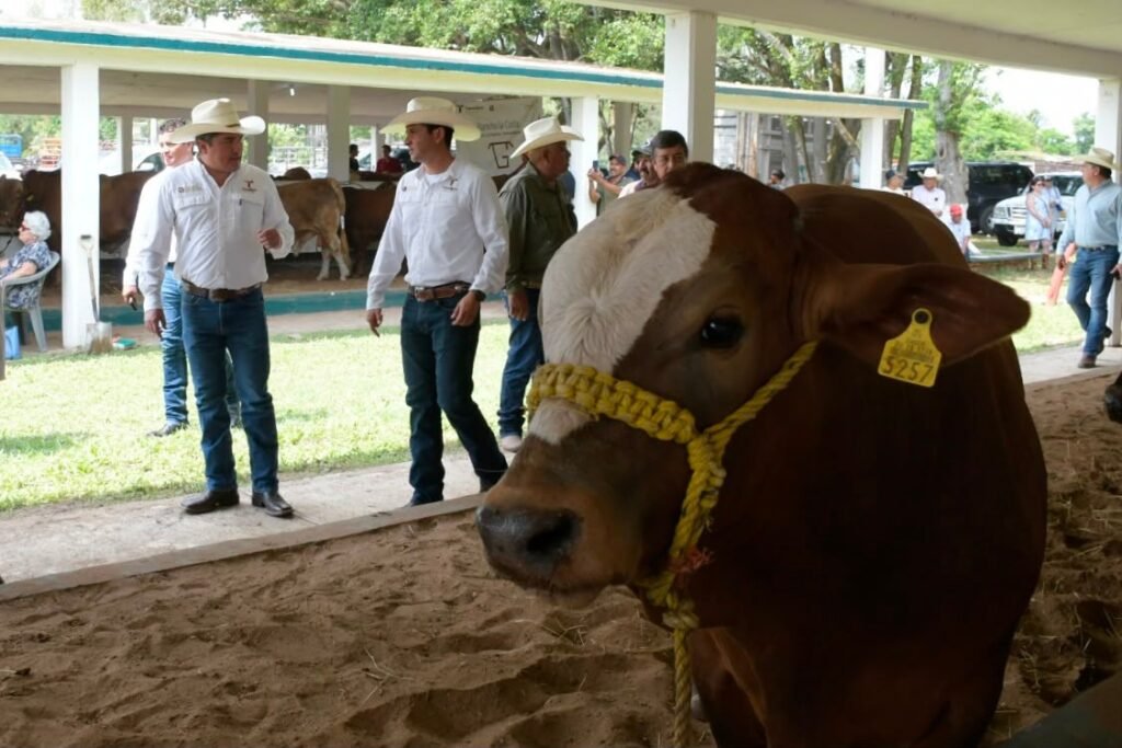 Acerca programa estatal, genética de alta calidad a las y los productores pecuarios