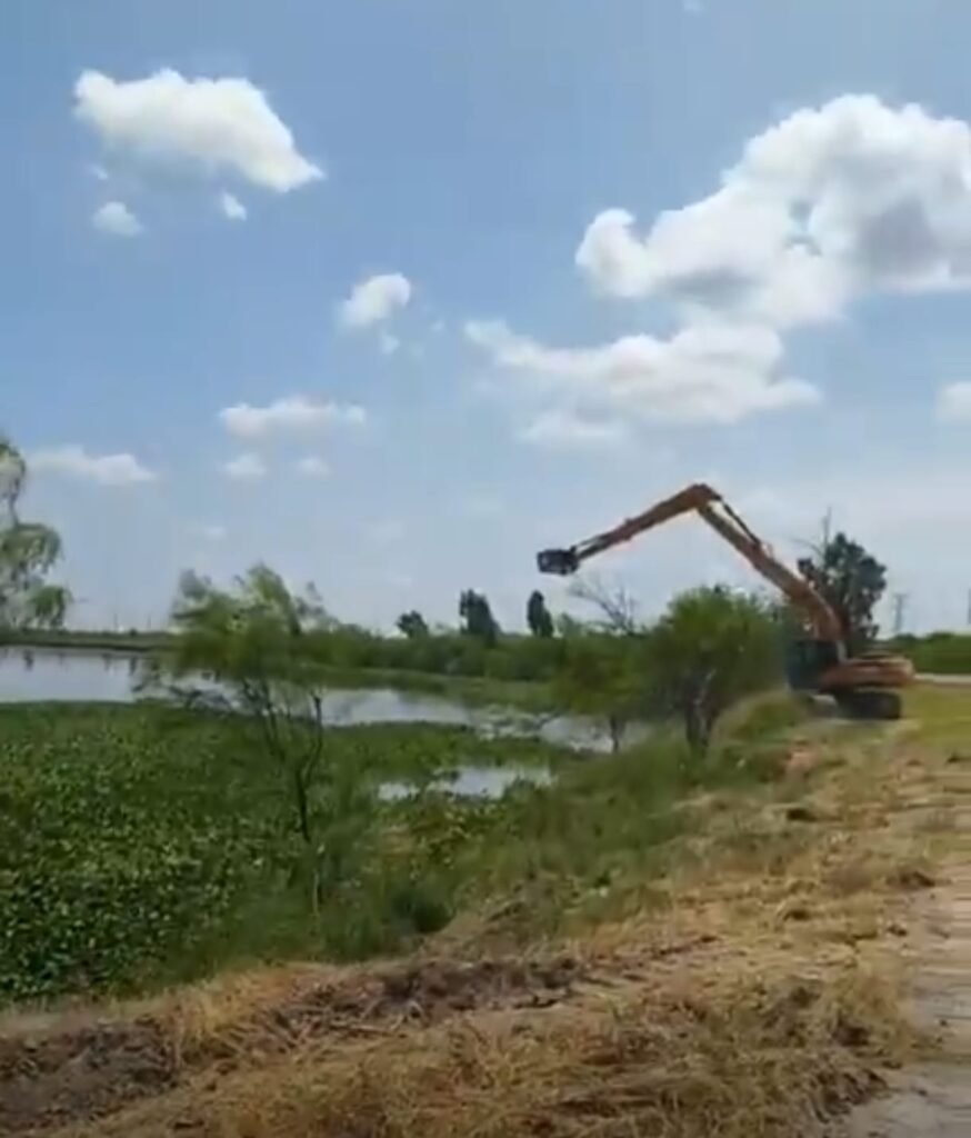 Retiran lirio acuático del perímetro de la laguna