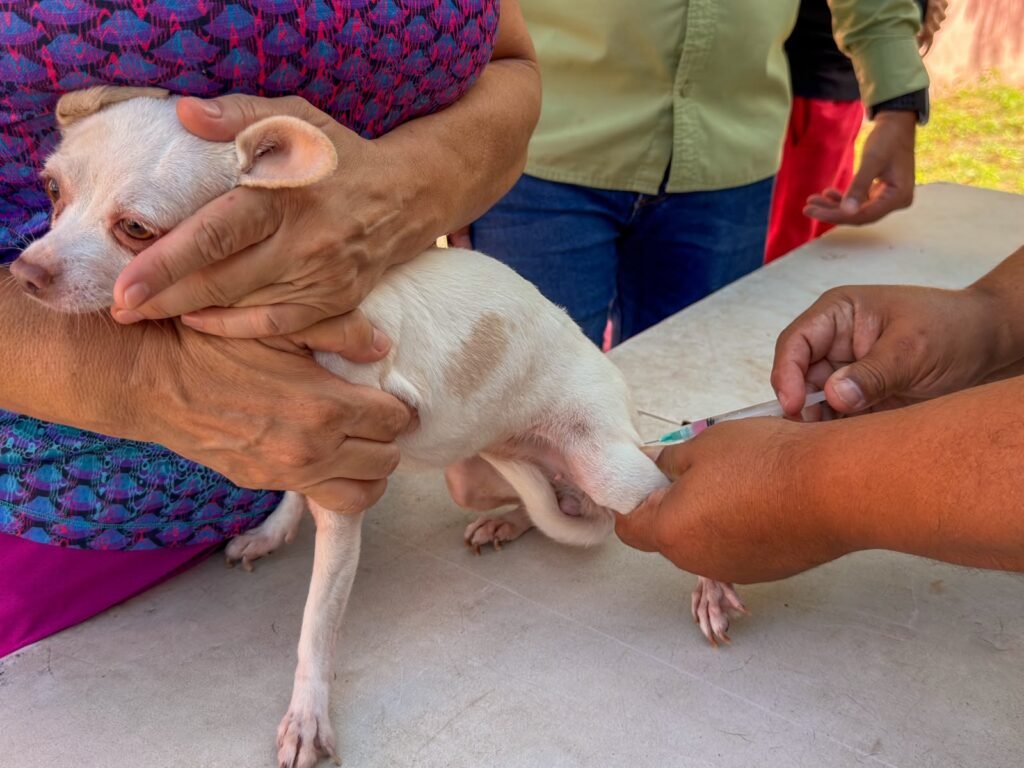 Llevó Gobierno de Carlos Peña Ortiz atención veterinaria al Refugio Muñeco