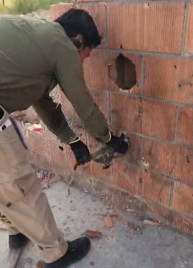 De un reporte por basura a un rescate inesperado