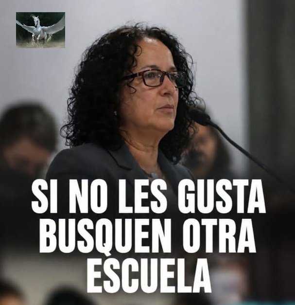 Al Vuelo-Escuela