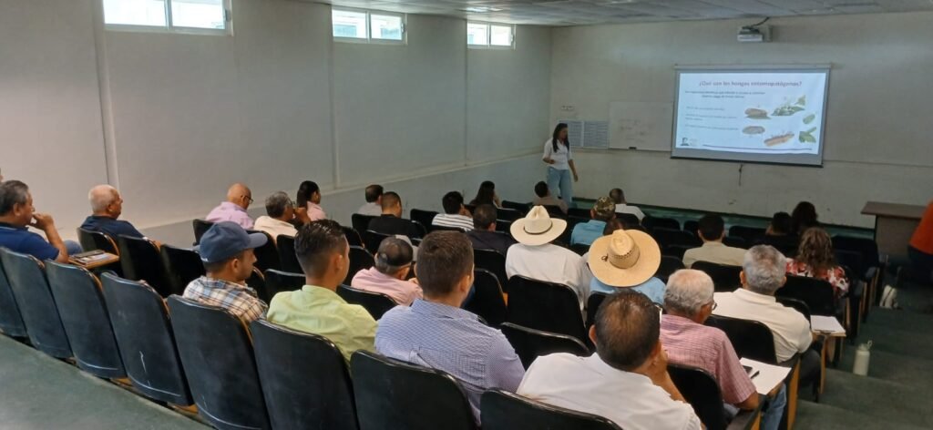 Refuerza Tamaulipas capacitación para proteger cultivos de cítricos ante el HLB