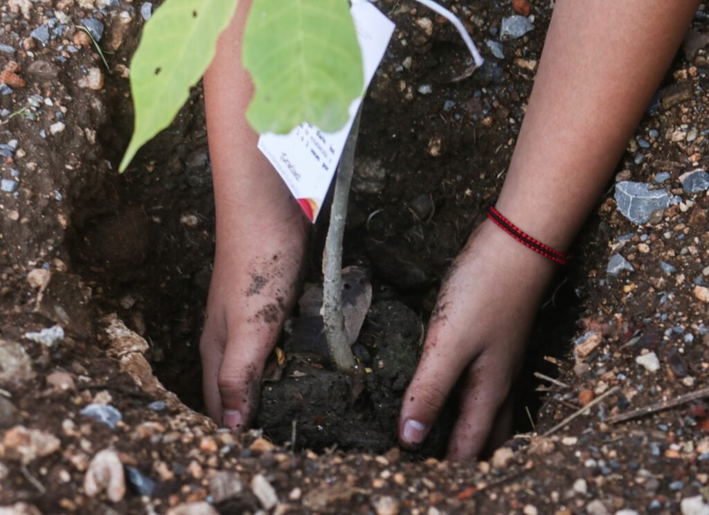 Participan estudiantes de la Secundaria Federalizada No. 1 en Ciudad Victoria, en jornada de sensibilización y reforestación