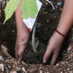 Participan estudiantes de la Secundaria Federalizada No. 1 en Ciudad Victoria, en jornada de sensibilización y reforestación