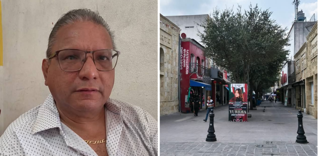Más turismo con el techado de la peatonal Hidalgo