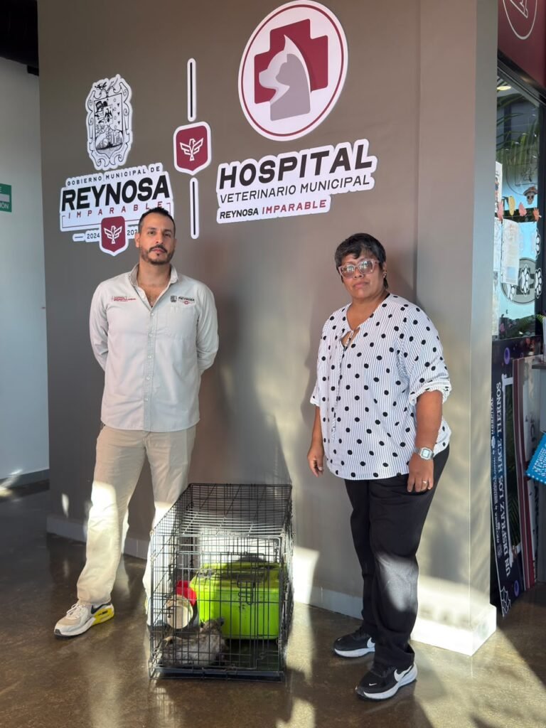 Liberó Control y Bienestar Animal a una zarigüeya en su hábitat natural