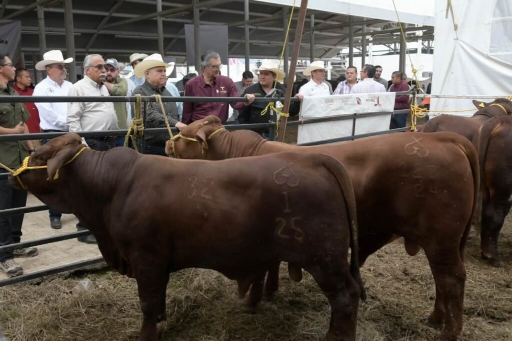 Concluye Programa de Mejoramiento Genético 2026 en la Feria Tamaulipas