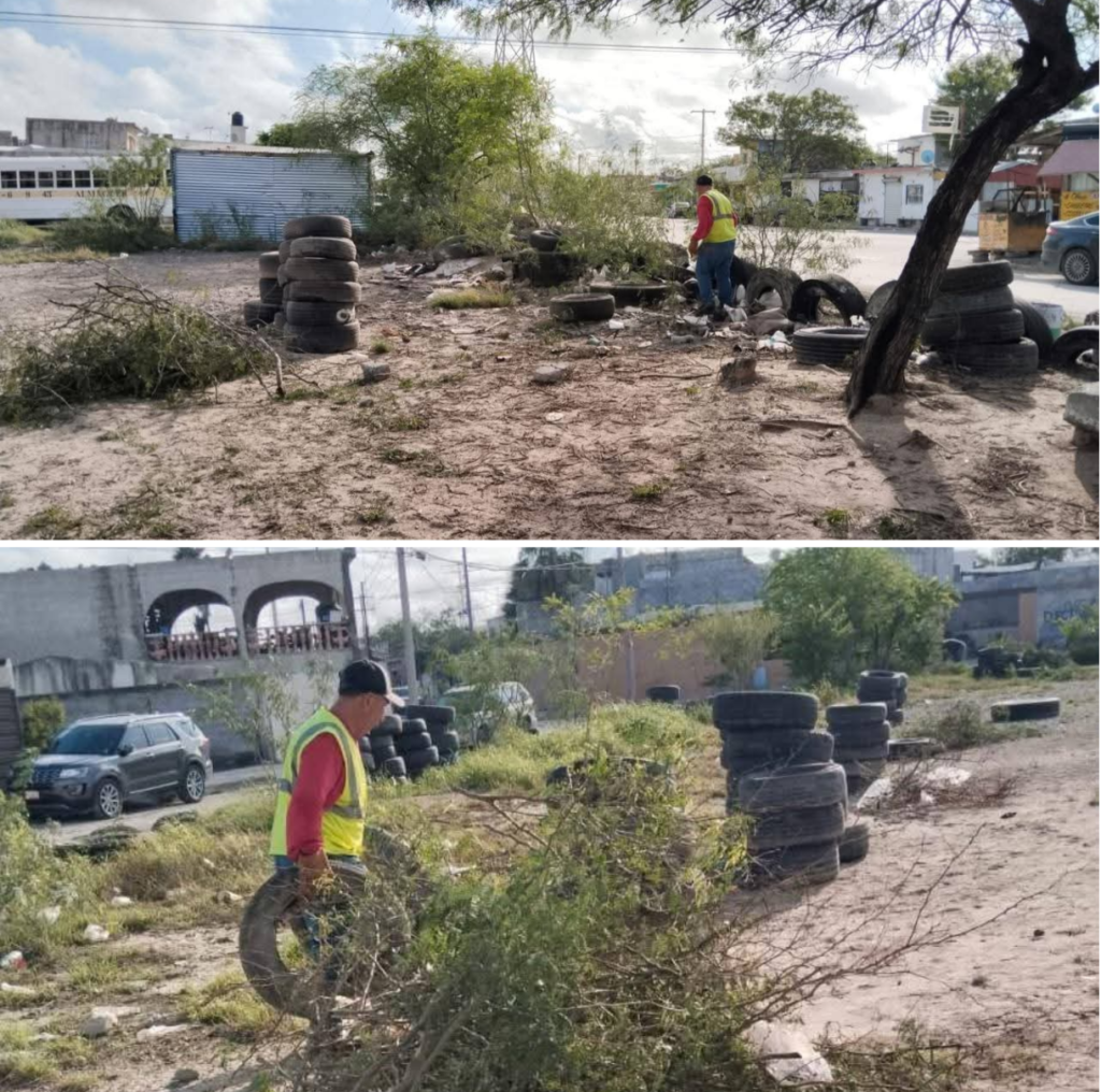 Limpia de área verde de la Avenida Revolución en la 16 de Septiembre